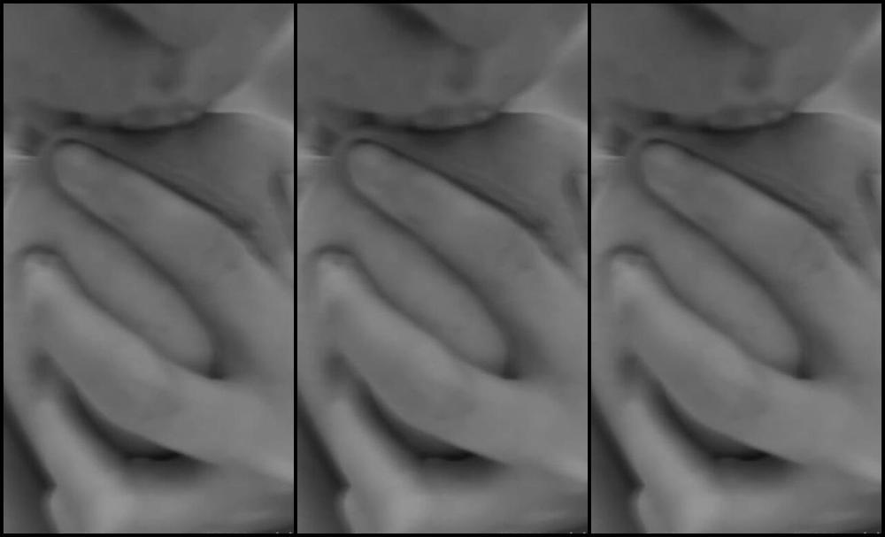 Novelcompleteness1 2751383906 01 22 2023 Lay Down Bite Punish