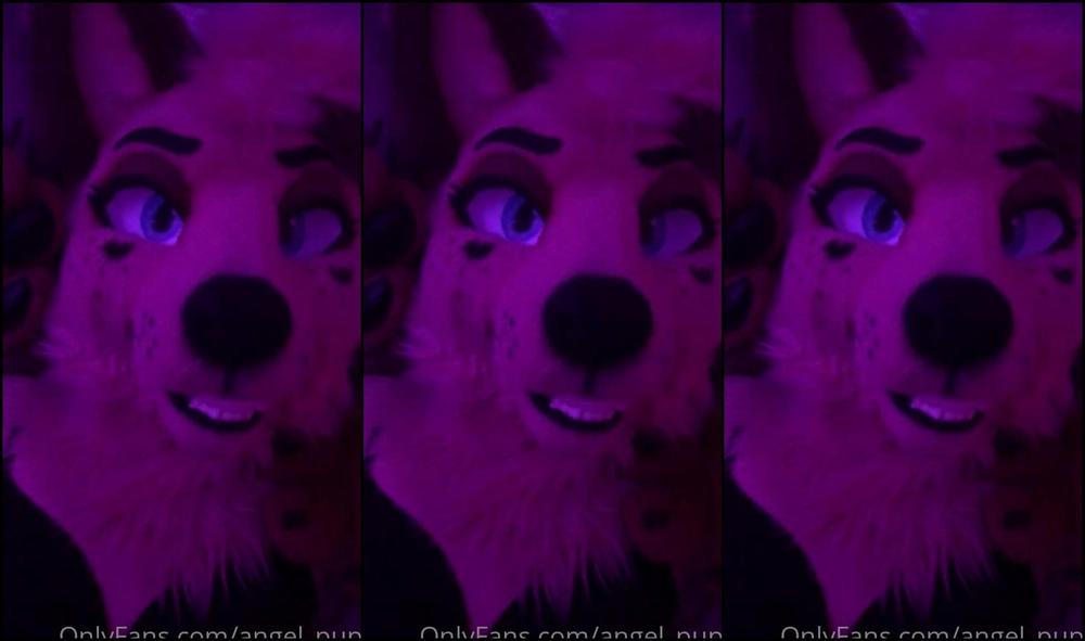 Angel Pups 129538653 Love It When My Big Wolf Breeds Me Don T Mind All My Soft W 01 610268F5 6D91 49D5 9B7E 6D1856122664