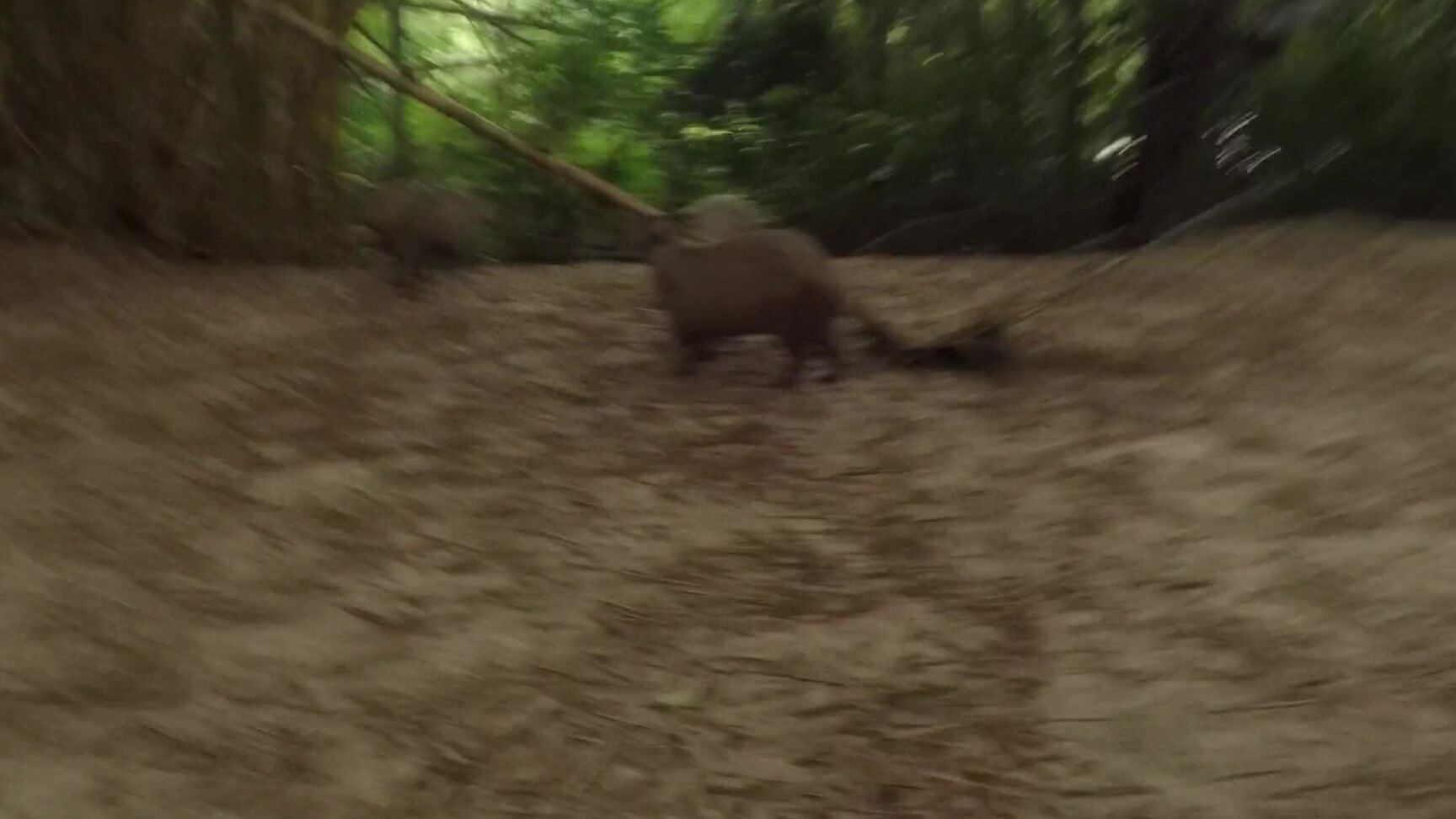 Dread Hot PUBLIC AT PARK SQUIRT ANAL TOO RISKY¡ Dread Hot PornHubPremium