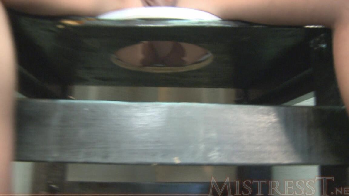 Mistress T suck it out of my pantyhose MistressT