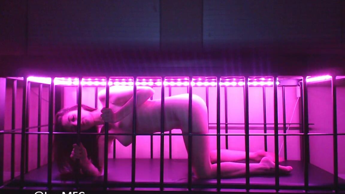 BDSM, Caging, Live Cams, Role Play, Spanking luxneon bratty slave begs amp seduces for freedom ManyVids