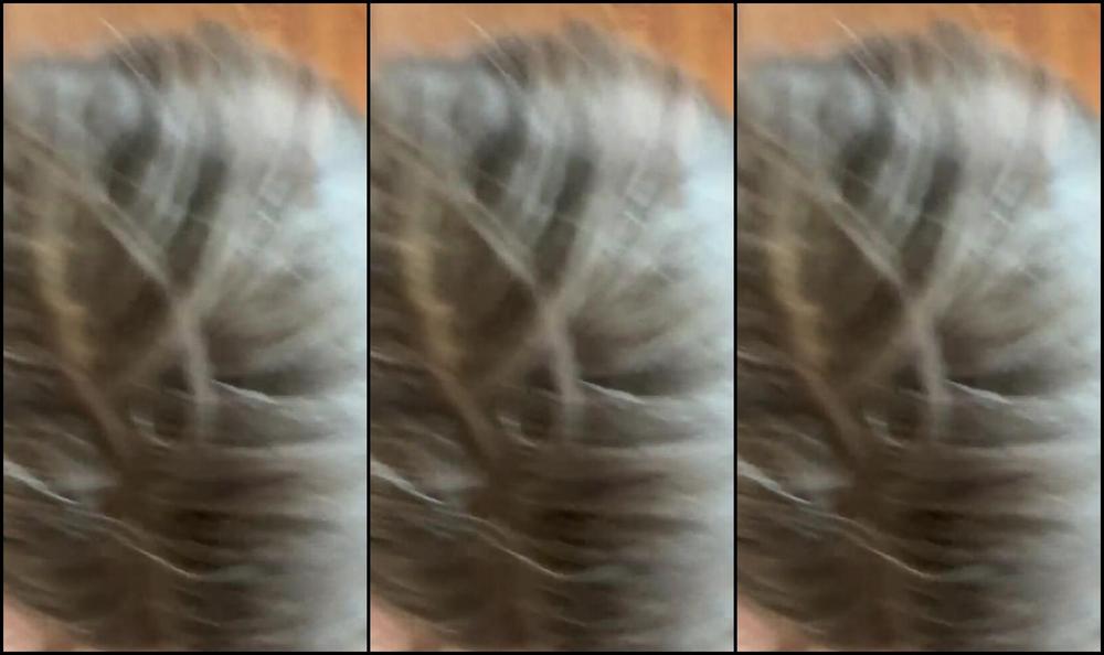 Diet Marshmallow 557