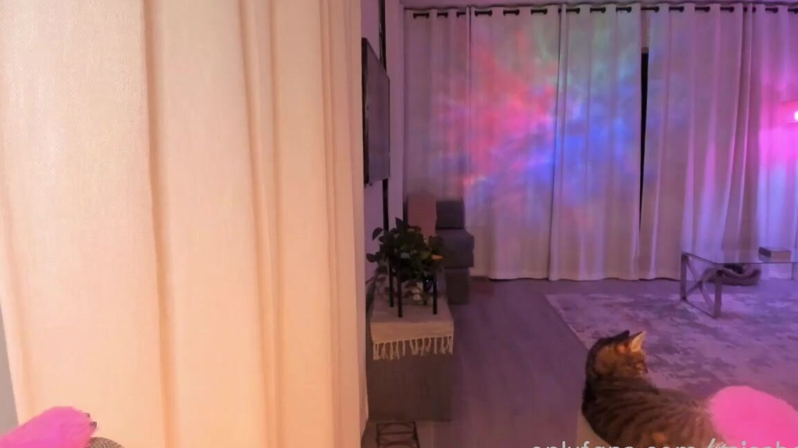 Missbella Onlyfans Stream Started At 09152023 0322