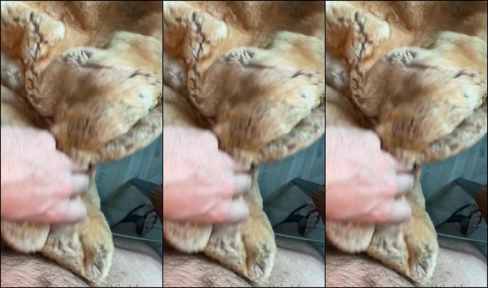 Lutro Morning Solo Ups I Did It Again Fu