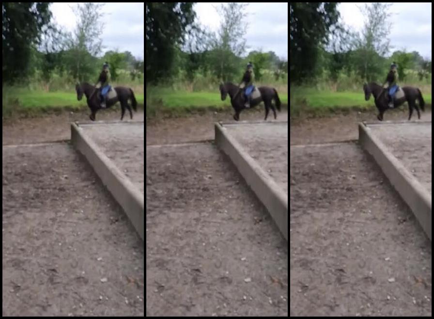 Mistress Athena Nicknamed Mistressathena Onlyfans Teaching My Baby To Go Into Water