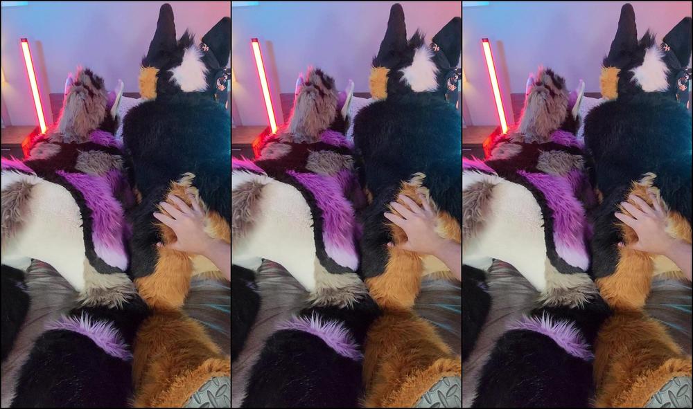 Palacewolf 1430887030 Who Would You Choose First Sorry About The Audio The Mic 01 0Hwicl0L6A0At7Ayfl4Nw Source