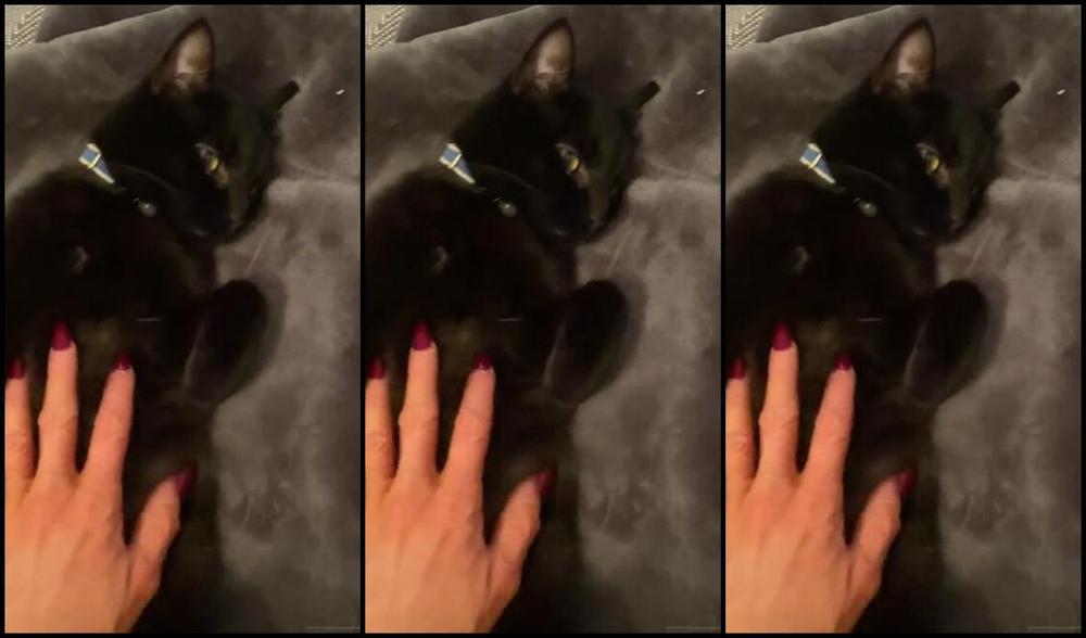 Ladydarkangeluk Onlyfans Had A Very Busy 5 Hr Session Today So Tired But Always Come Home To Cuddles Off My Girlies Oh To