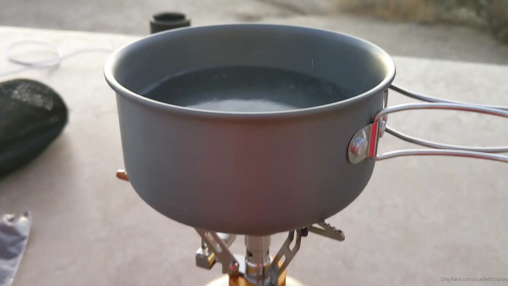 Scarlettfoxplay Joshua Tree Asmr Vlog Aaah Its Here Take It You Savages I M Totally Joking But