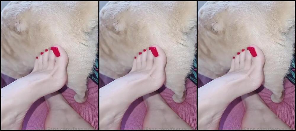 Feetvampire Nicknamed Feetvampire Onlyfans Video 865