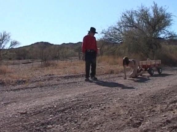 Bondage, Humiliation, Domination, Teens, Spanking, Pet Play, Fetish, Discipline, Outdoors Young Ponygirl Sadie Simone ShadowPlayers