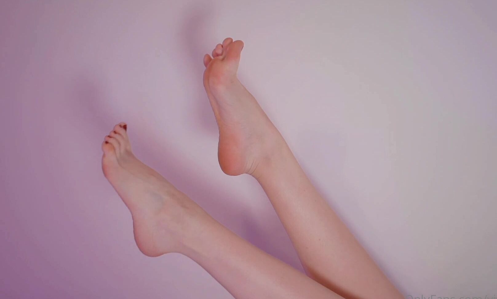 Vixenp 2688204516 11 21 2022 Legs For Days