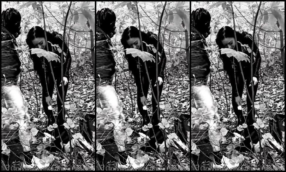 Lady Samira Nicknamed Lady Samira Onlyfans Und Jetzt Rein Mit Dem Dildo Ich Zeig Dir Wer Von Uns Die Muschi Ist 1