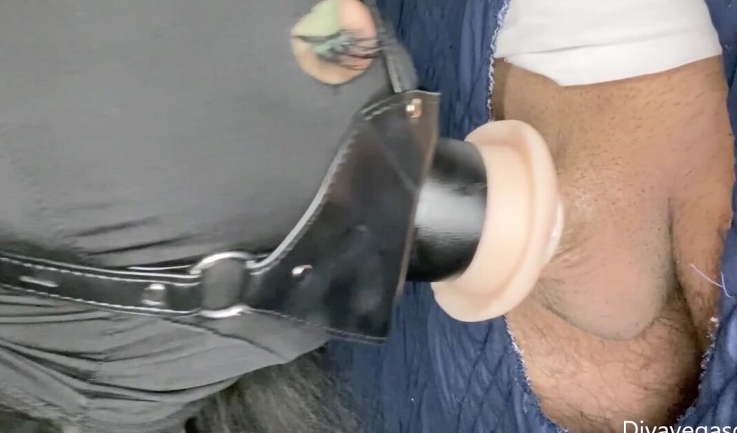 Divavegasgh Pussymouth For College Persian Cock