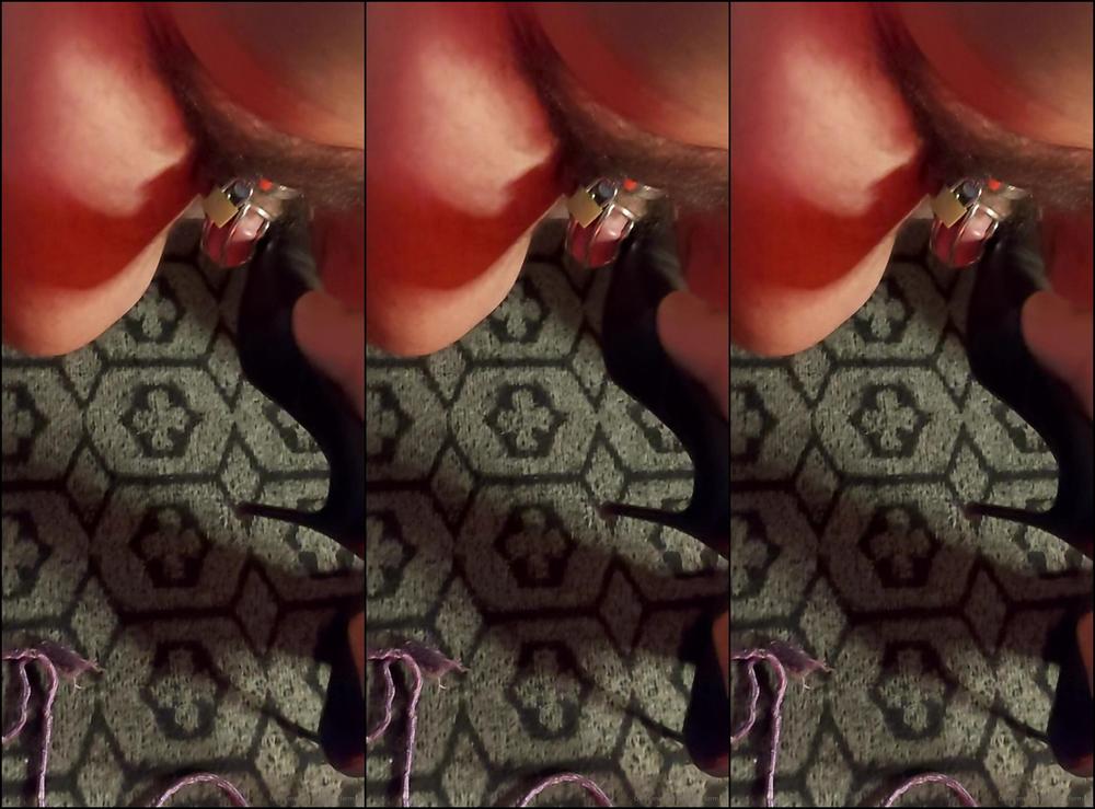 Madamefermans T O Insignificante Chastity