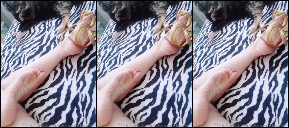 Feetvampire Nicknamed Feetvampire Onlyfans Video 444