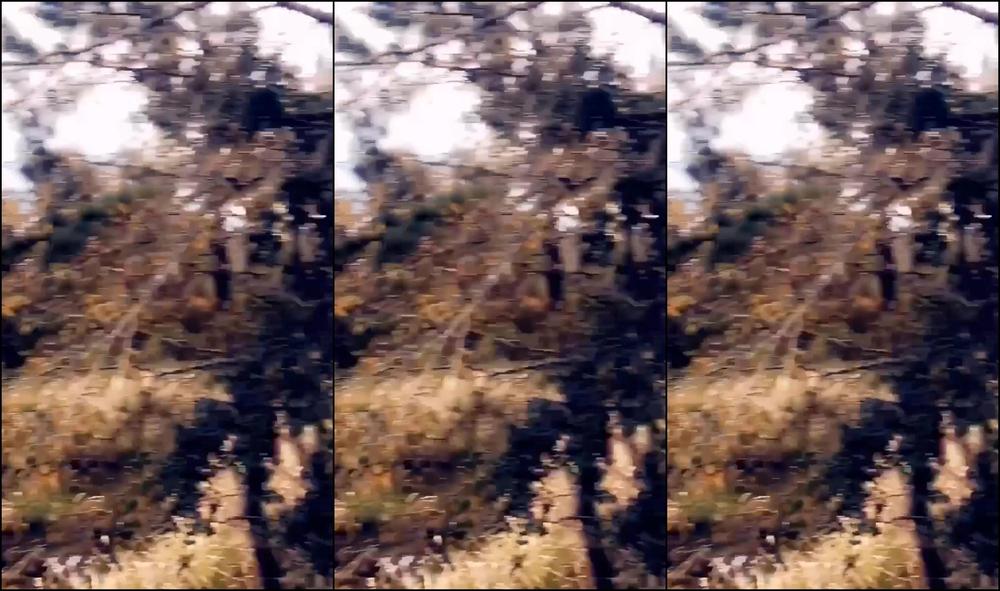 Prettytwistedxxx Public Park Spanking Flashing Bj Of Course Getting Caught Full Show