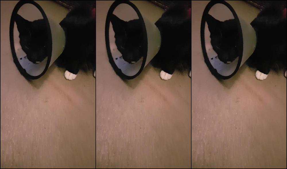 Adreena Angela E Makes Me Laugh