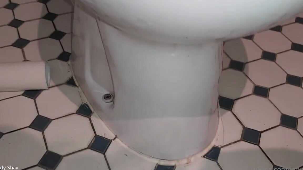 Lady Shayqoscuckoldress Nicknamed Ladyshay 10 03 2020 Onlyfans Video Full Clip Public Damenklo Leck Sauber Je3