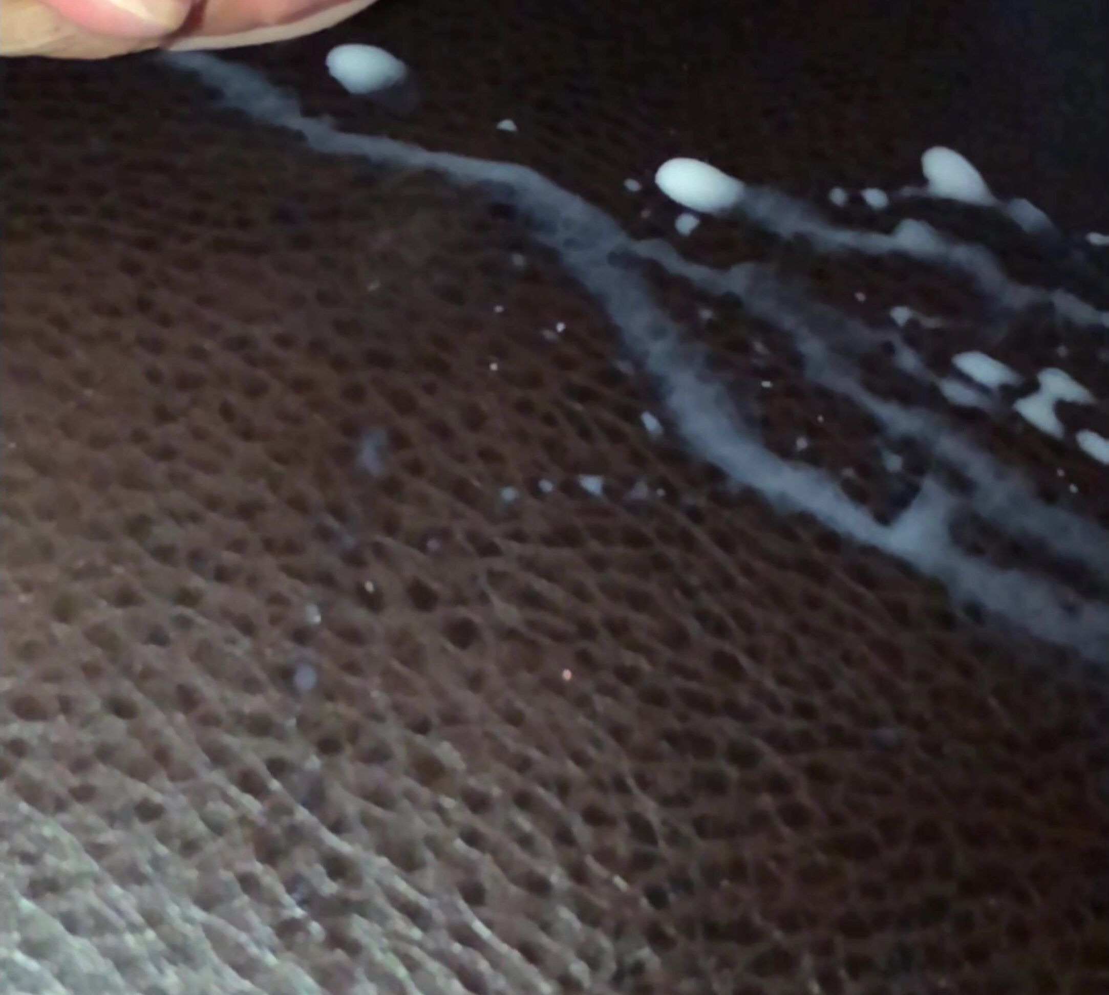 Lanna Amidala K Lactating Breast Milk Explosion