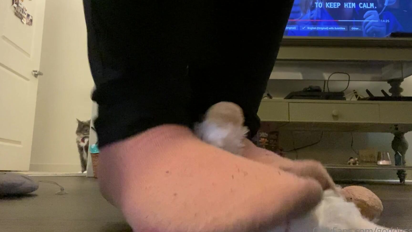 Findomfootfairy Multi Plushy Trample