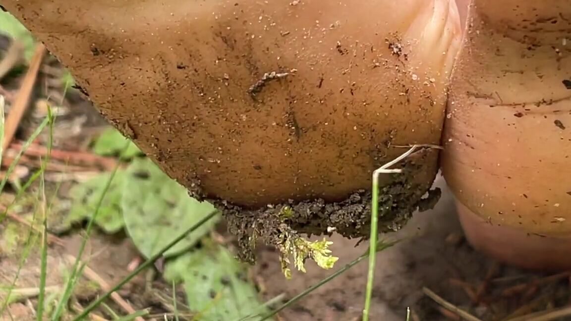 Dirty Feet, Feet, Foot Fetish, Ebony Foot Fetish, Barefoot, SFW ebony girl gets feet dirty outside ManyVids