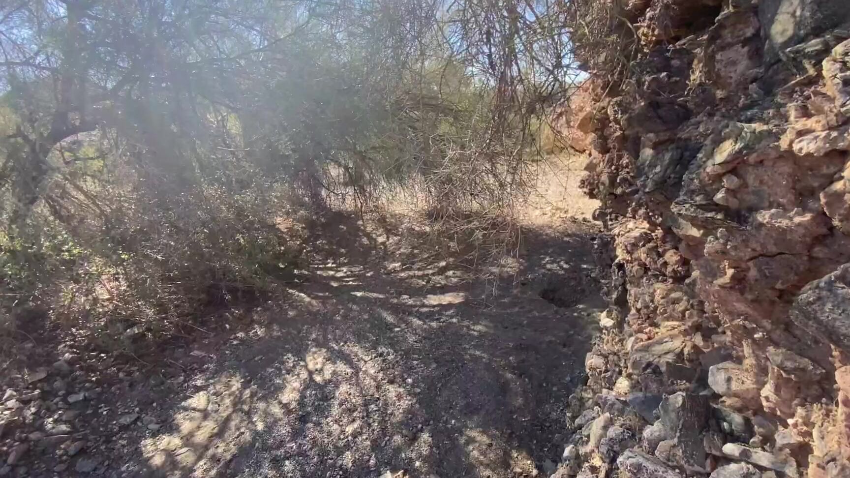 stellaviolet-02-04-2022-2411931963-3