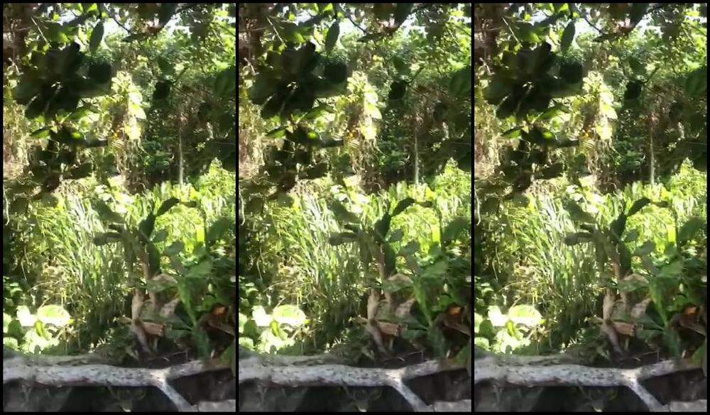 Elena Mua Nicknamed Umilediva 12 09 2019 Onlyfans Video Misure Brasiliane Jane E Tarzan