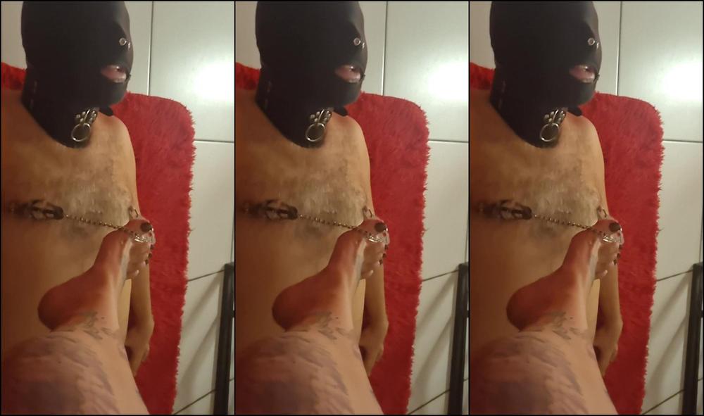 Madamefermans 3021458934 09 19 2023 Judiando Desse Porquinho Rs