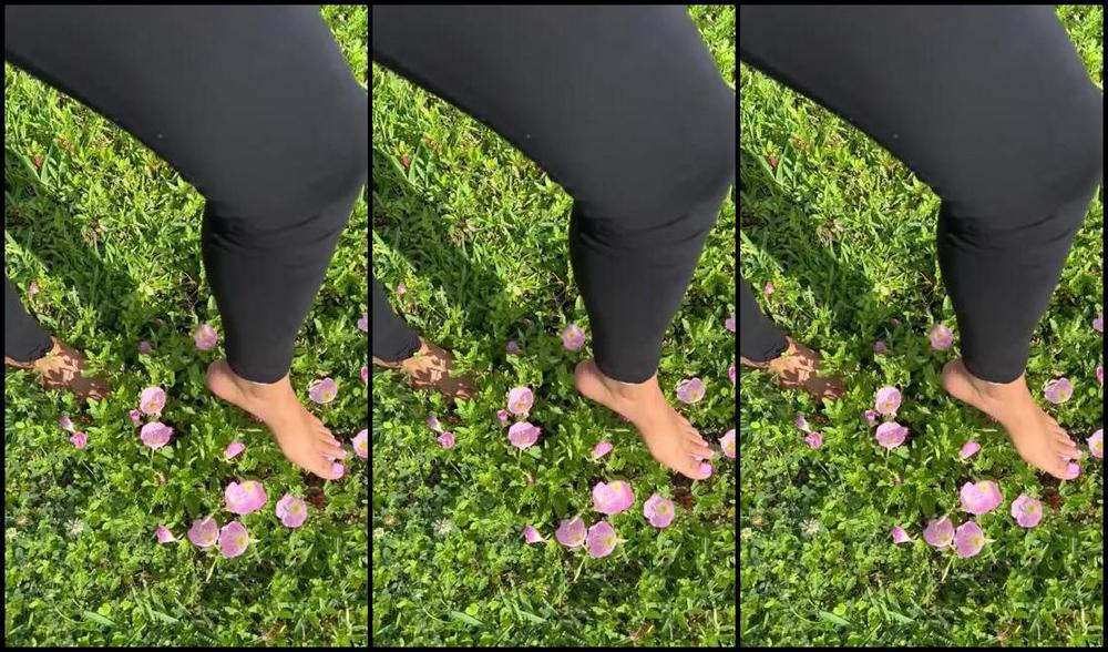 Etherealtoes Nicknamed Etherealtoes Foot Fetish 04 22 2024 Onlyfans Video Matching My Flowers Dont Wait Until Im Gone Give Them To Me While Im Here