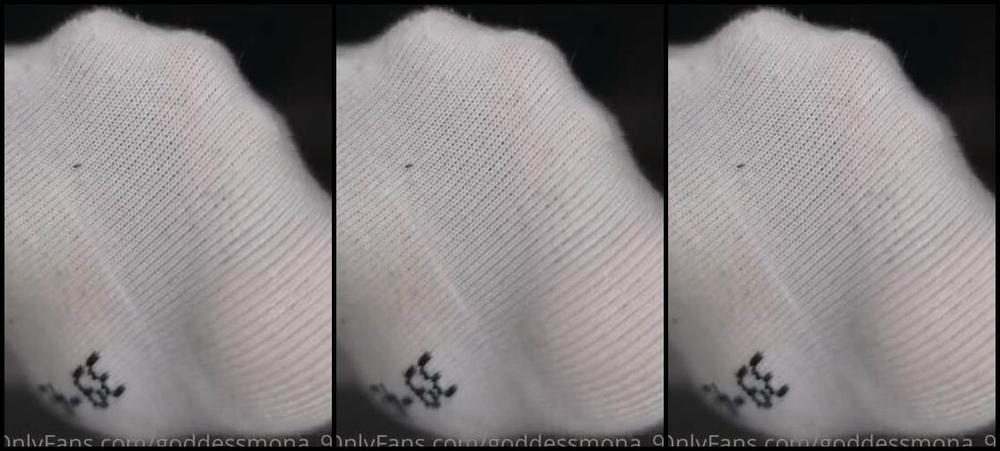 Goddessmona 91 Onlyfans Kleines Socken Update Sehen Ja Noch Recht Niedlich Aus Wir Bleiben Dran Little Sock Updatep