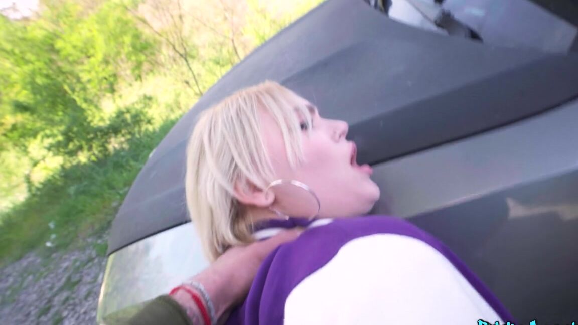 "Mix" Hardcore, Gonzo, All Sex Greta Foss - Hitchhiking Super Sucker SiteRip