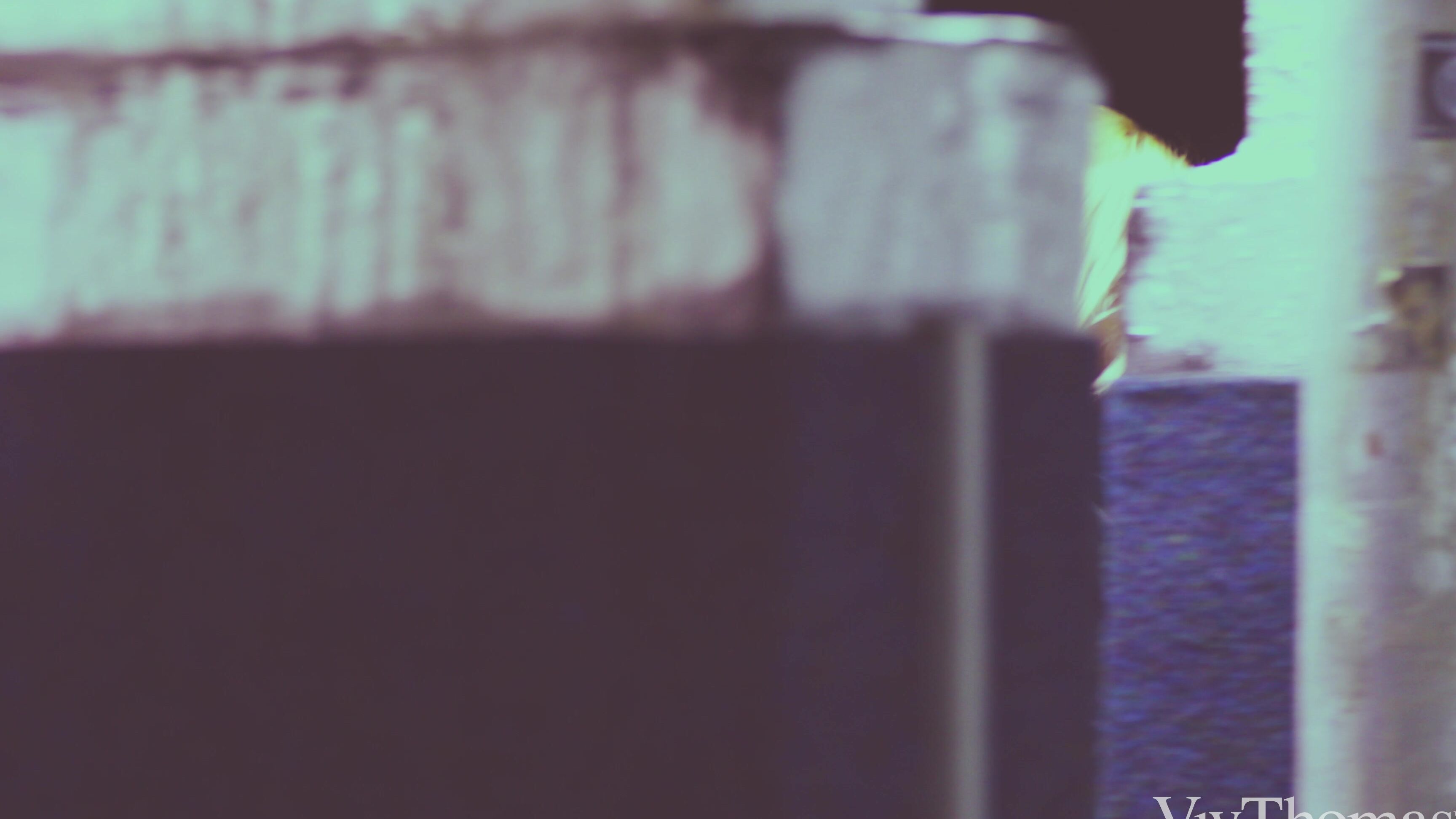 Blonde, Natural Tits, Lesbians, Pussy Licking Jo & Cherry Kiss SiteRip