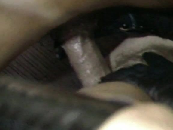 Porsche Lynn Club Ecstasy Sc 8 1986