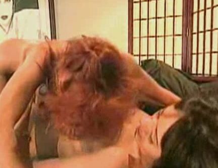 "Asia Carrera, Bunny Bleu, Christina West, Dominique Bouche, Isis Nile, Shelby Stevens" All Girl Ladies Room Sin City