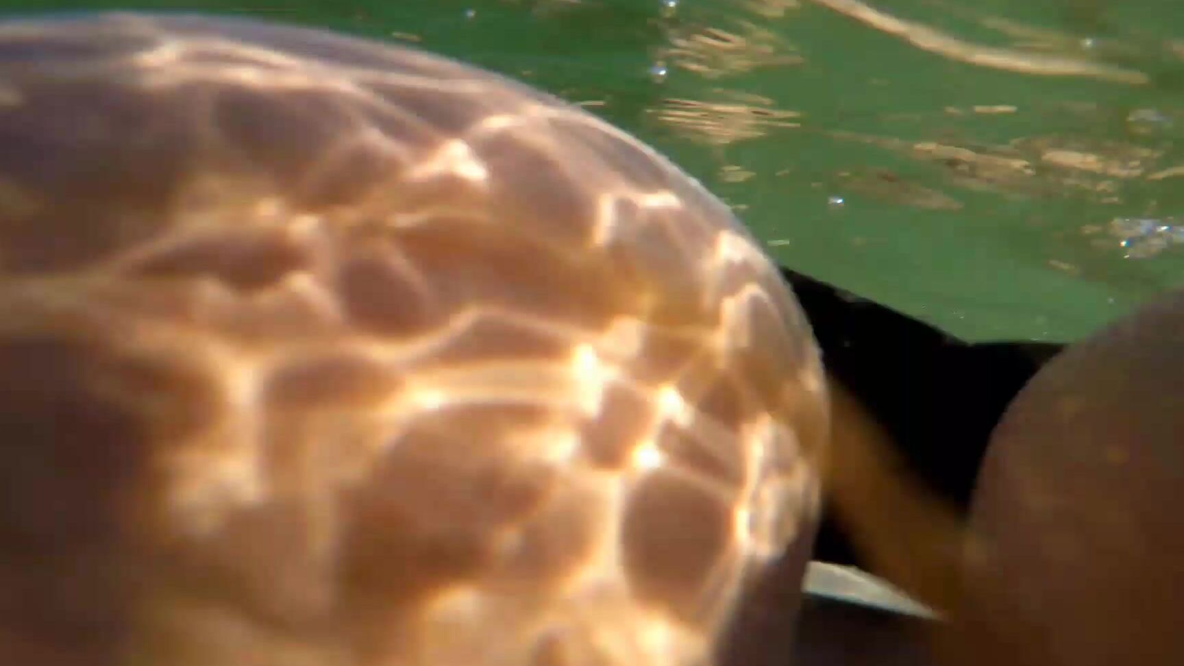 Handjobs, Underwater Fetish, Exhibitionism, Big Boobs, Big Dicks mya lane naughty lake life ManyVids