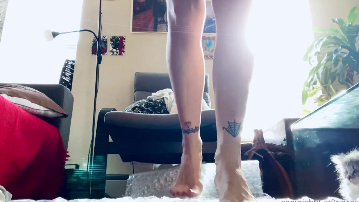 Catprincessfeet Onlyfans 15 Video Bundle Feast Your Eyes Baby Tip And Tell Me Which Was Ur Favorite 15