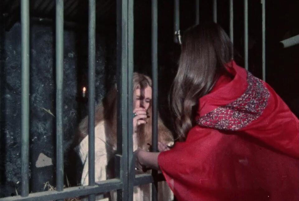 "Karen Cummings, Janet Gaut, Vivian Parks and Lucy DuLac" All Sex Rites of Uranus Gourmet Video