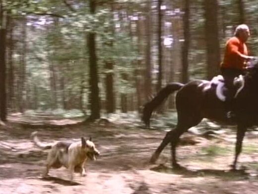 "Mix" All Sex, Feature, Anal sex, Blowjob The Felines VCX