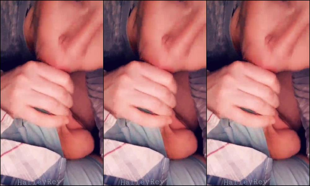 harleyrey Milf gives sloppy road head Manyvids