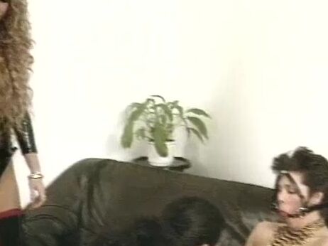 Dse3208 Dbm Sextra 8 Leather Eruption