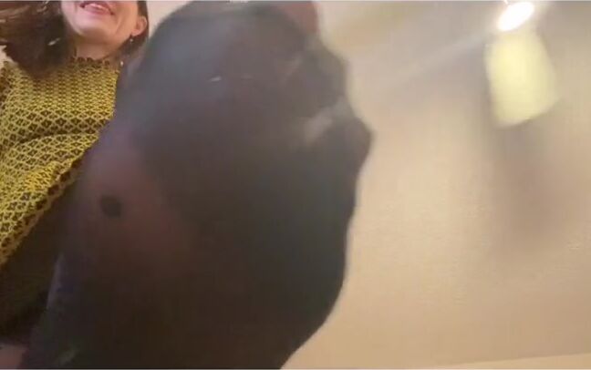 Nylonskitten Nicknamed Nylonskitten 12 10 2019 Onlyfans Video Little Fun Clip Taking Off My Nylons And Putting Them Back On For You Xoxo