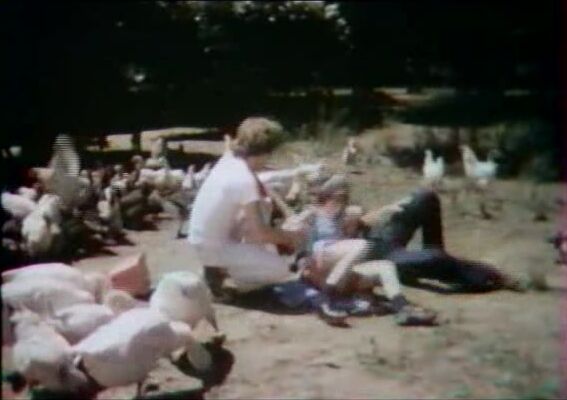 "Mix" Classic Soumission Films du Berry