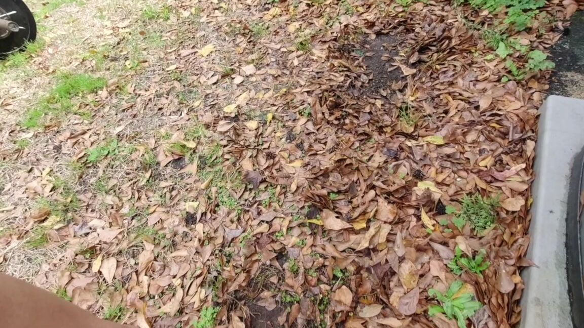 Lora Cross Dirty Foot Fetish Toe Sucking