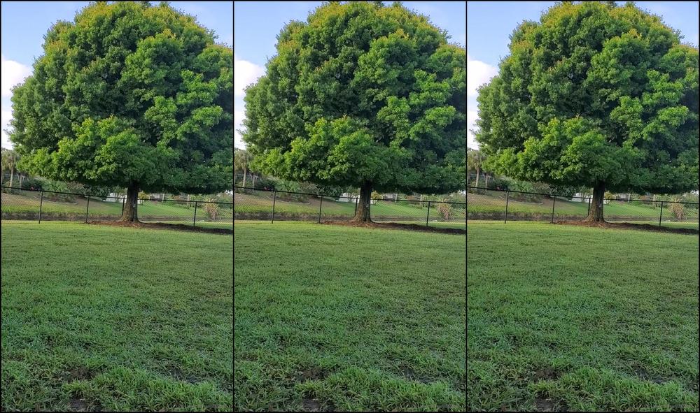 Sallydangeloxxx I Hope You Take A Moment To Listen My Beautiful Fr