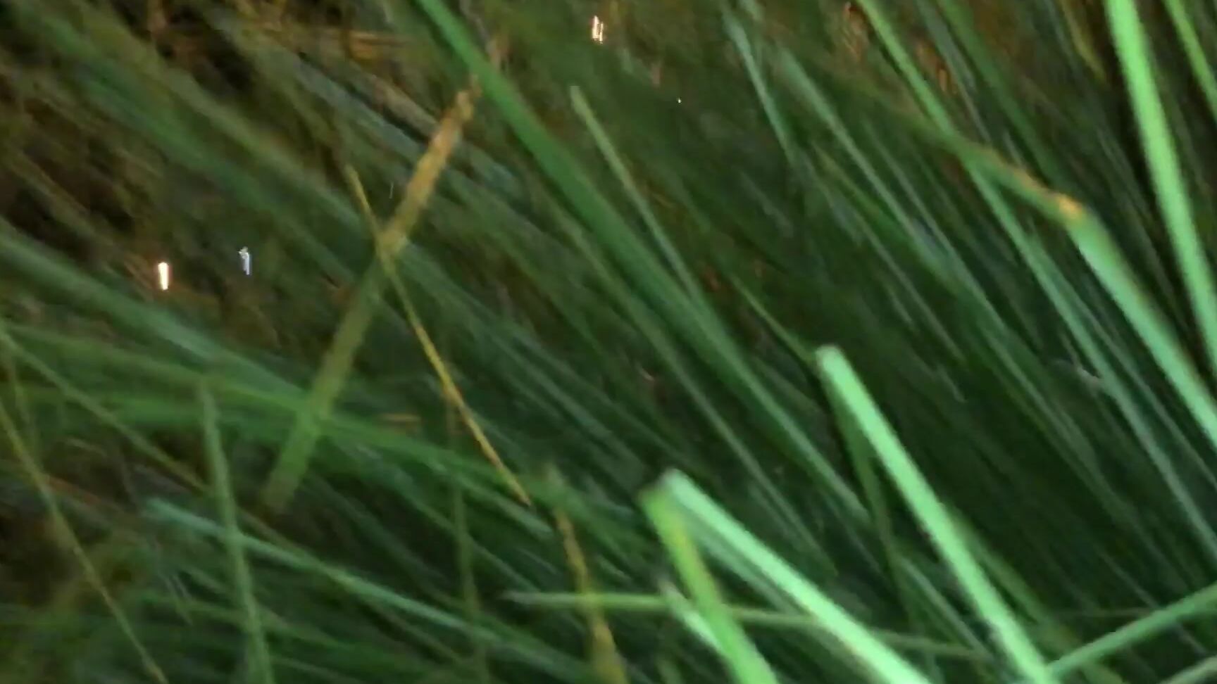 BBC,Outdoor Public Blowjobs,Public Blowjob,Public Flashing,Interracial embermae cock blocked by the cops public bbc bj ManyVids