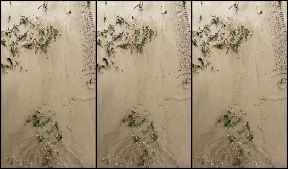 Mistress V Black Nicknamed Mistressvblack Onlyfans Eu Amo Uma Aventura Vem Comigo