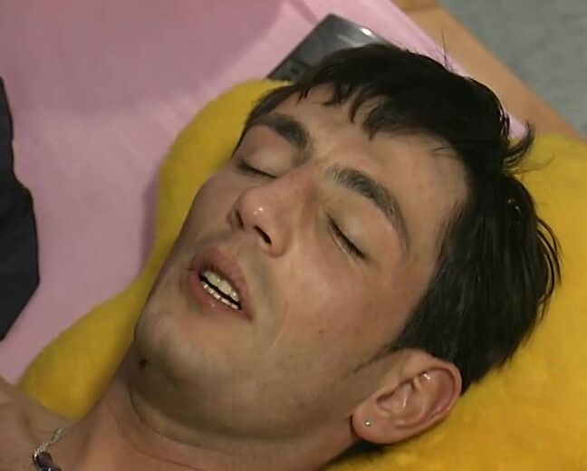 Dtg524 Dbm Tiger 24 Die Teppich Luder