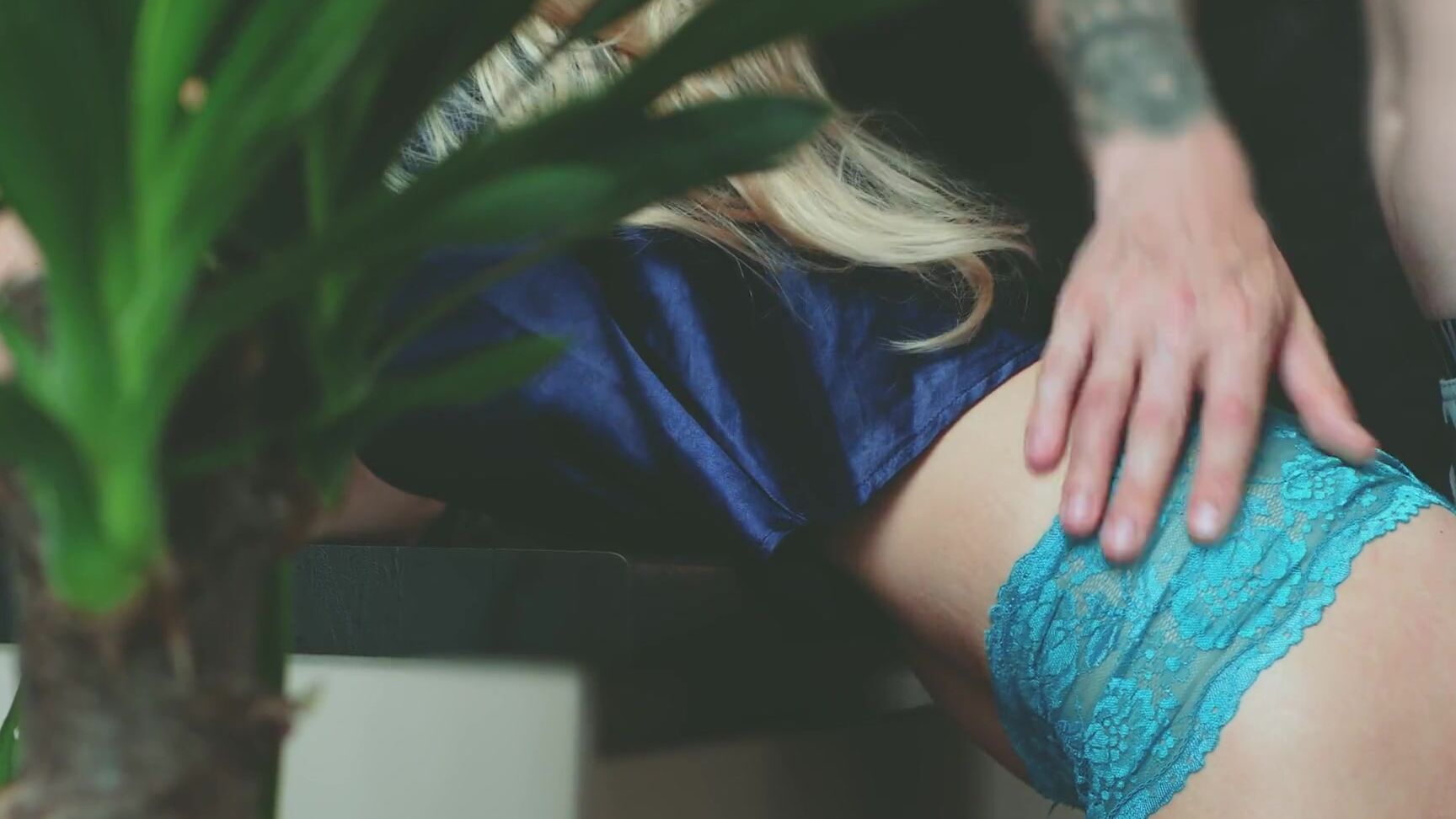 Erotic Art by Softapproach Quick side panties sex in the kitchen Pornhub