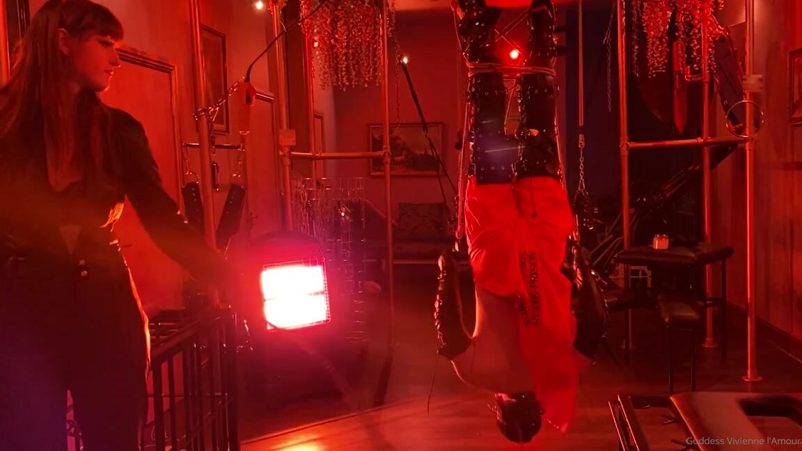 Vivienne L Amour Aka Vlproductionsuk Onlyfans Goddess Combines Single Tail With Inverted Suspension