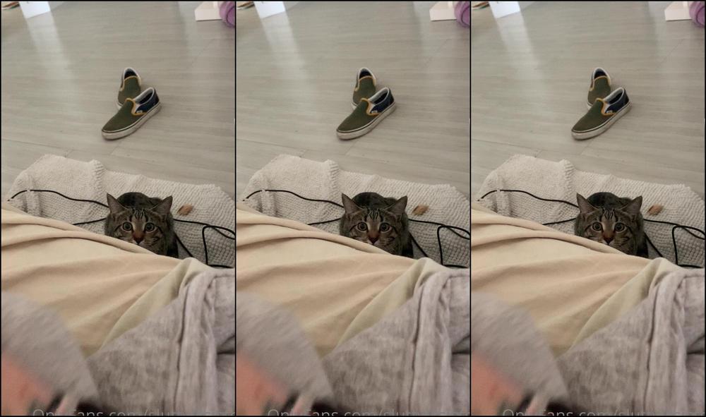 Lil Ann3Frank 5F7A14Db3D3B7B713D033 Source